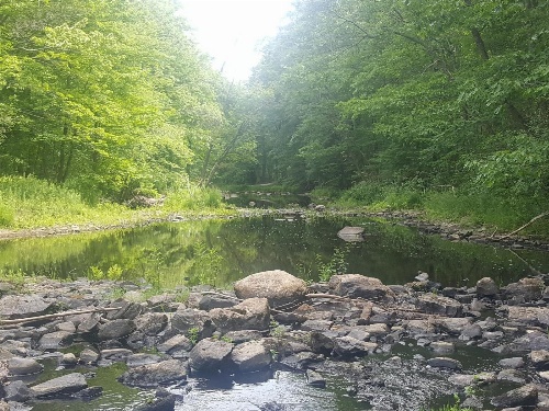 Tentrr - Roaring Acres Farm image 1