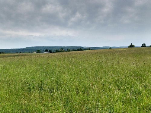 Tentrr - Roaring Acres Farm image 6